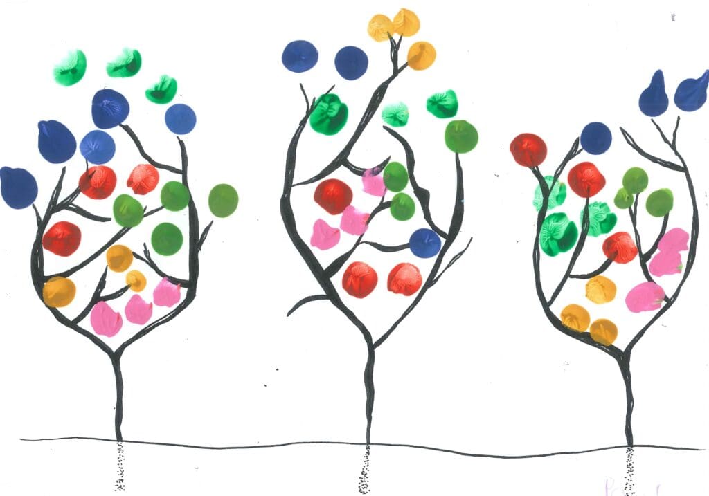 Jigsaw Plus Policies