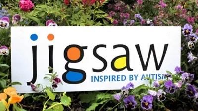 Jigsaw trust_learn